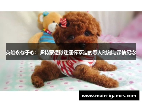 英雄永存于心：多特蒙德球迷缅怀泰迪的感人时刻与深情纪念