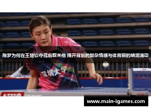 陈梦为何在王楚钦夺冠后取关他 揭开背后的复杂情感与体育圈的暗潮涌动